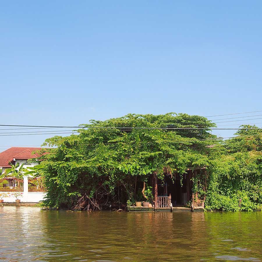 bangkok khlongs ballade
