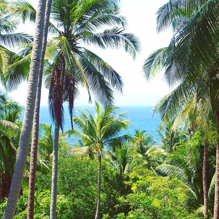 instagram thailande koh tao