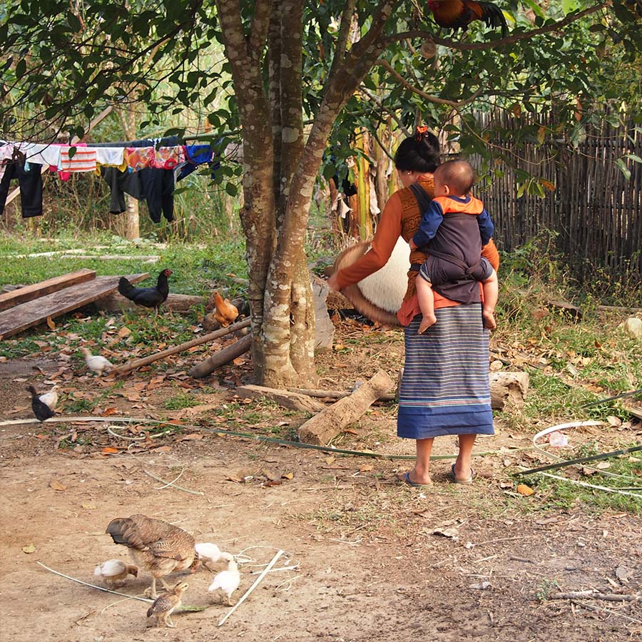 laos hmong