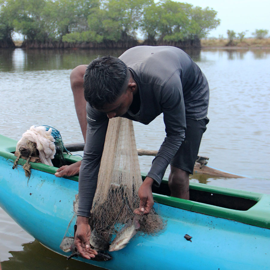 Lagune, Arugambay, Sri Lanka